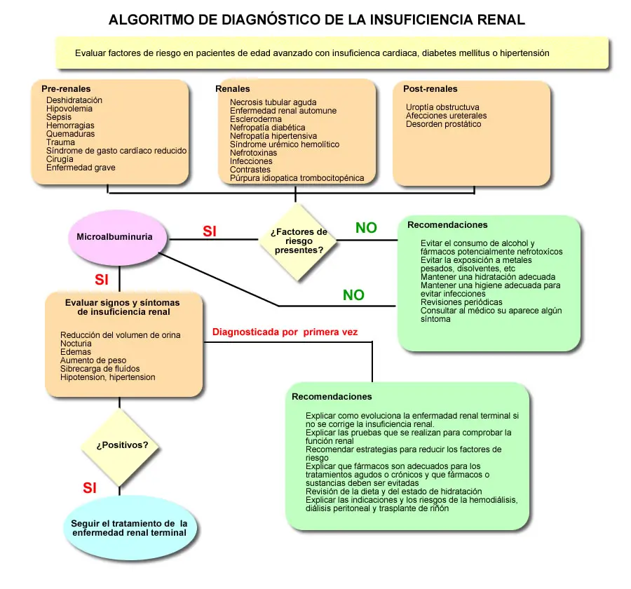 insuficiencia-renal-aguda.png