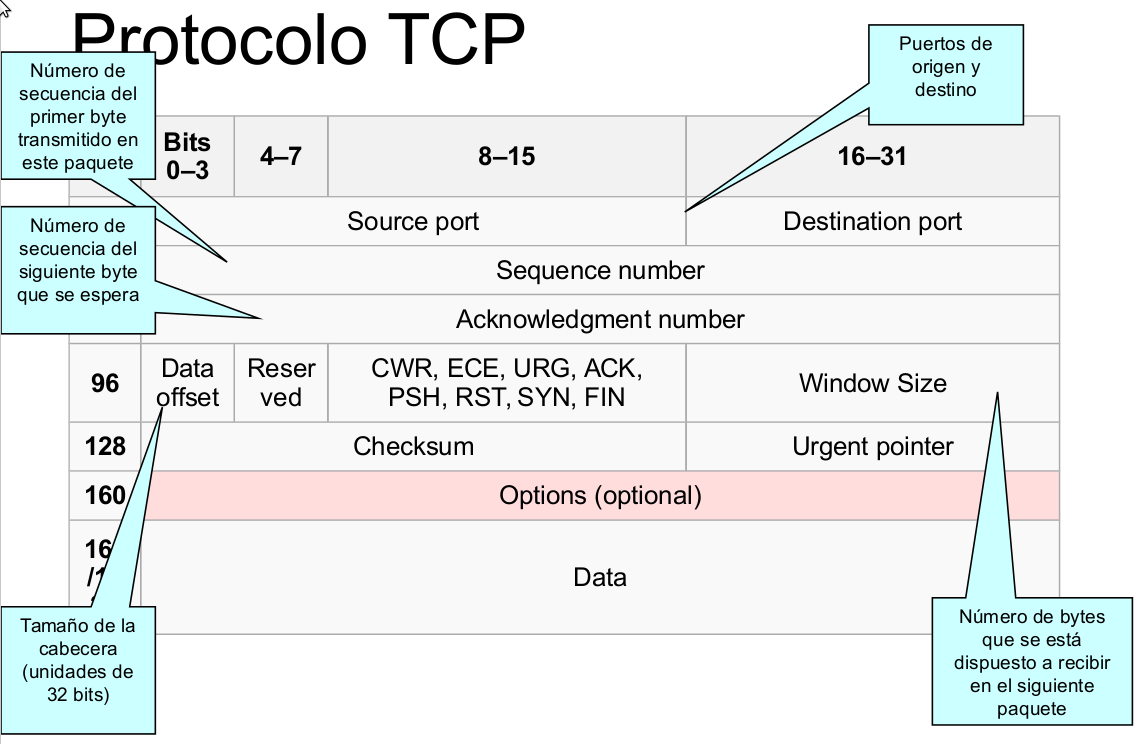 trama-tcp.png