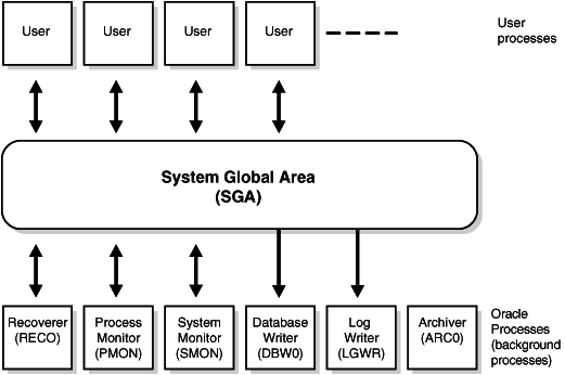 sga-procesos-usuario-sistema.png