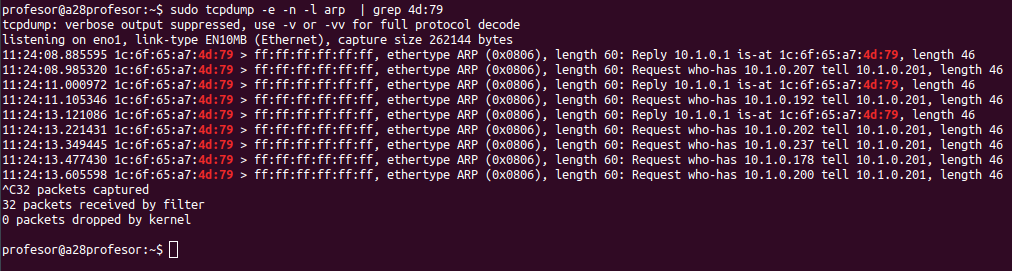 /assets/blog/pihole-monitorizacion-red/arp-en-tcpdump.png