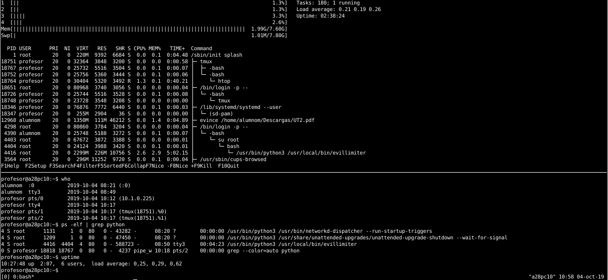 /assets/blog/pihole-monitorizacion-red/tty4.png